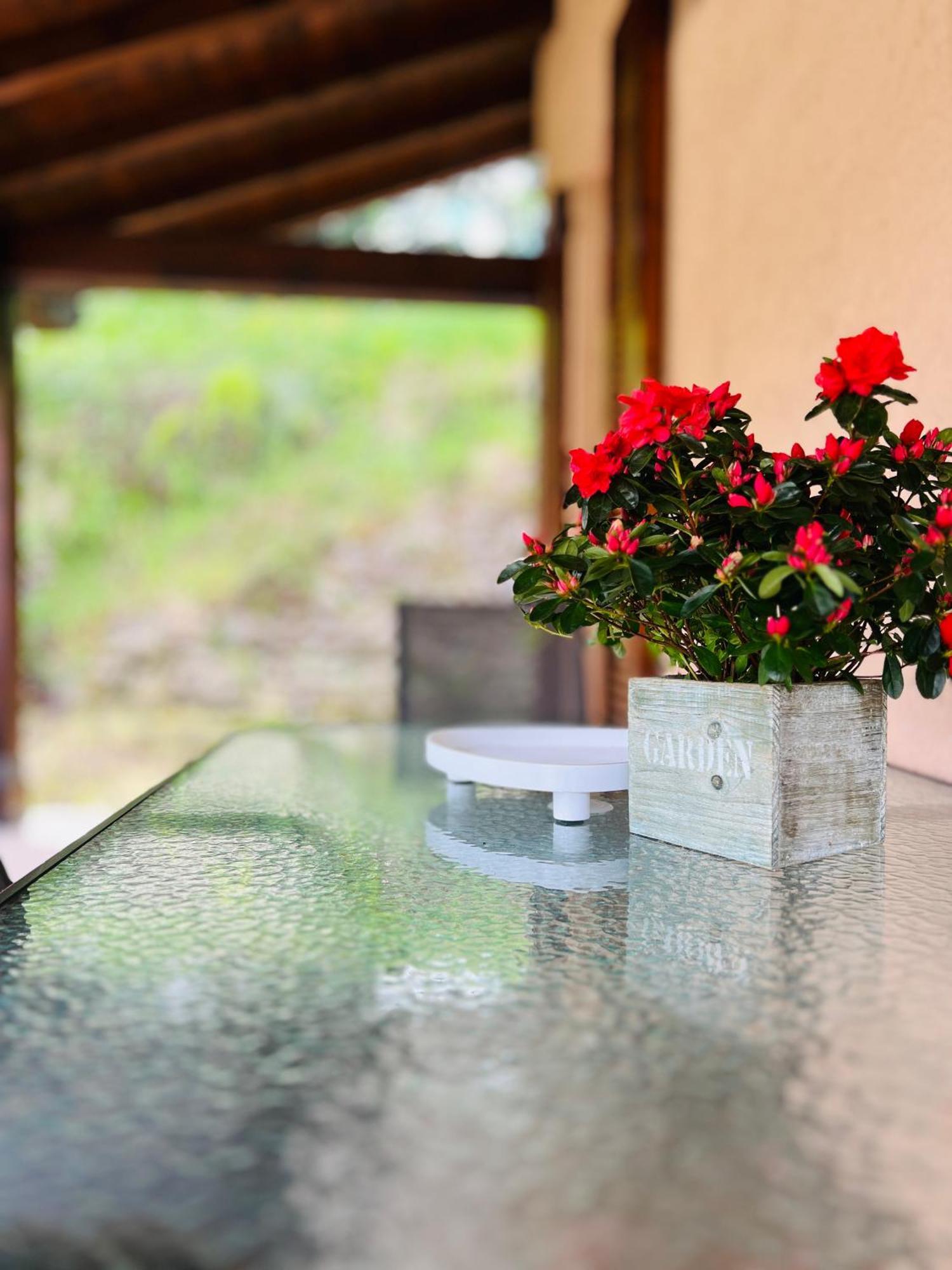 L'Acero Rosso - Giardino Privato E Box Auto Vila Menaggio Exterior foto